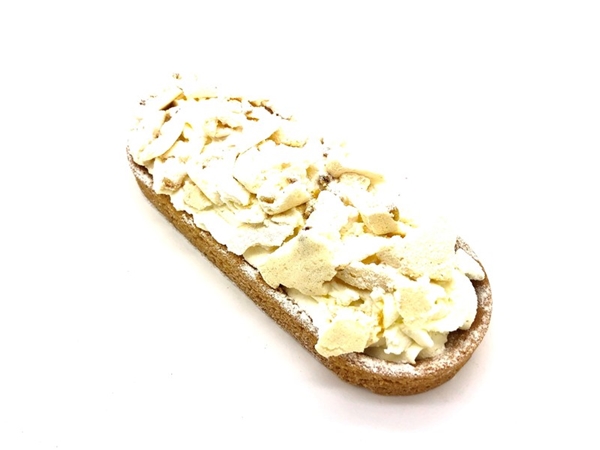 Sneeuwschuiver