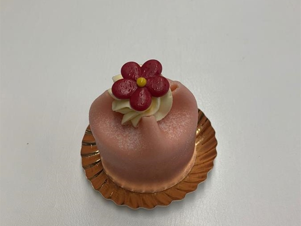 Kasteeltje