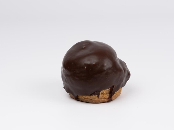 Bossche Bol